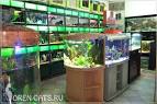 Магазин аквариумов в Советском, фото